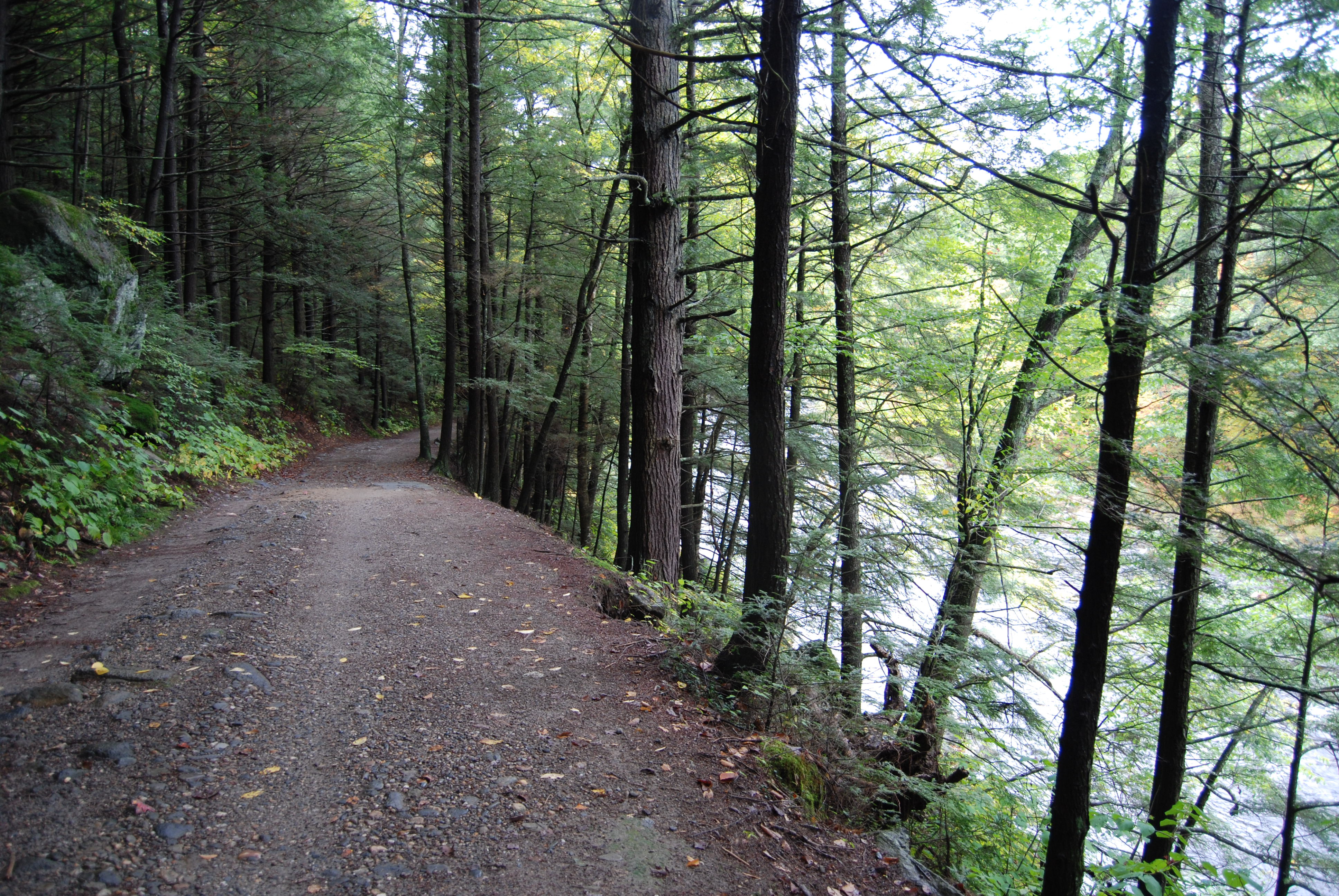 walk